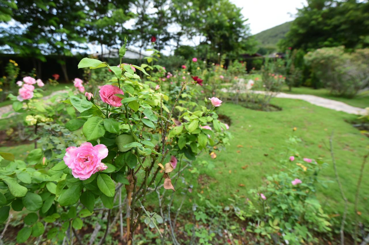 Rose Villa Hote Pak Chong Exterior foto